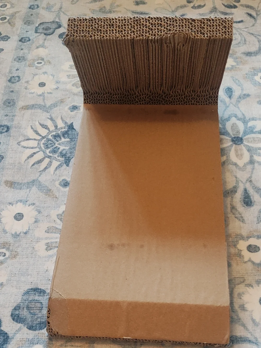 PETS: CAT SCRATCHER SET